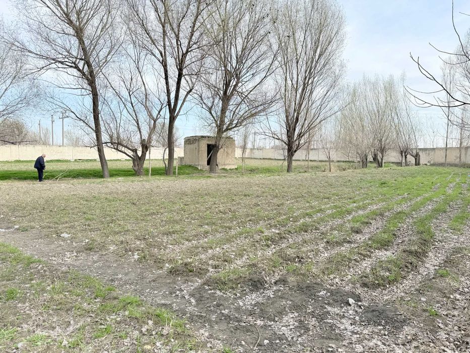 Yer oling — foyda qiling!