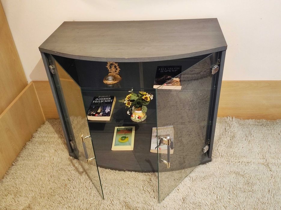 Барче за телевизор или уредба -немско.