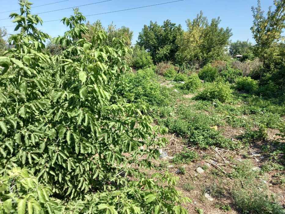 Продам дачный участок