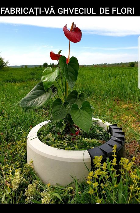 oferta matrite pavaj romb 3 d forme pavele constructi accesori mobila retro unelte bijuteri beton utilaje agricole piese borduri piatra gard travertin