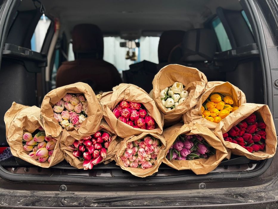 Голландские тюльпаны