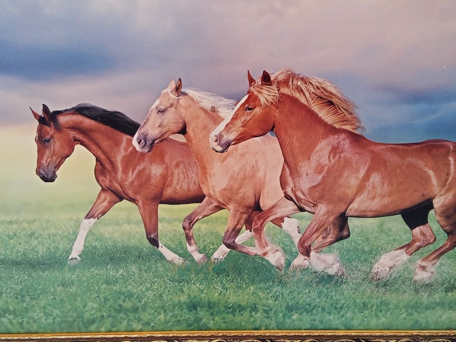 Большая картина с рамкой