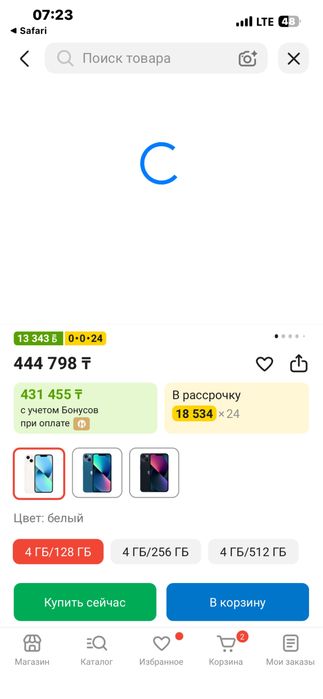 Apple 13