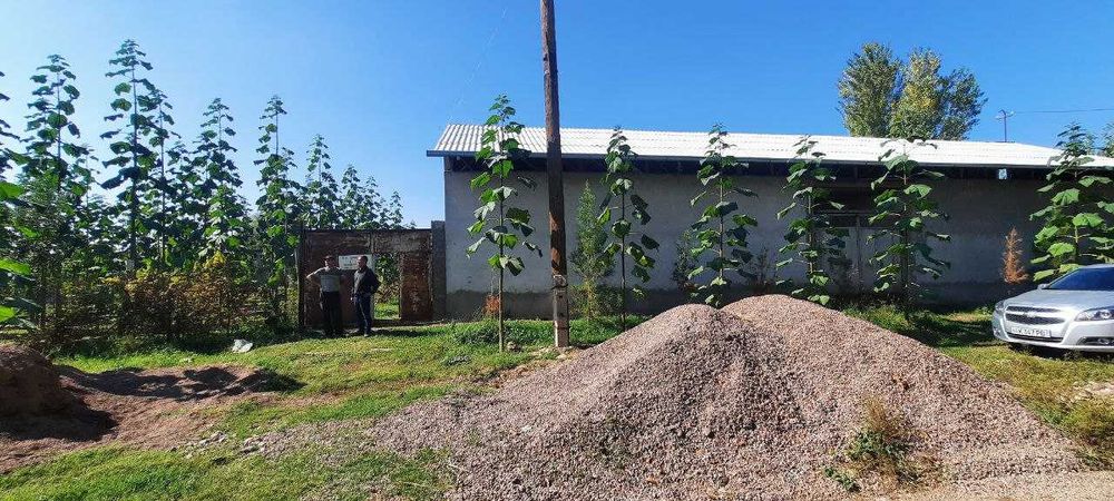 Срочно Продается Участок в Пскенте Цена Договорная.