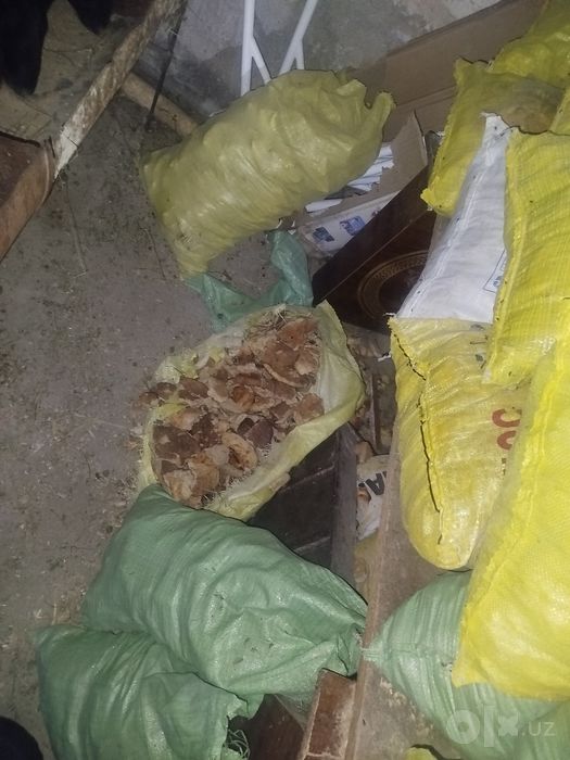 Qotgan non qopi 60 mnga 50 mn kota.qop kcknaro.qop kelwamza