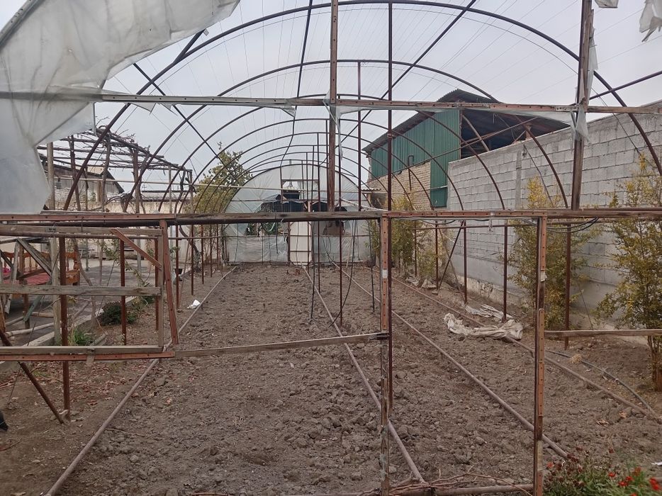 Тайёр типлитса сотилади