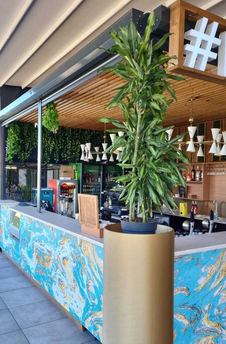 Vand bar mobil inclusiv mobilier