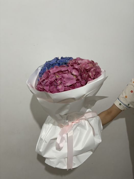 2 гул бар шымкент каласы