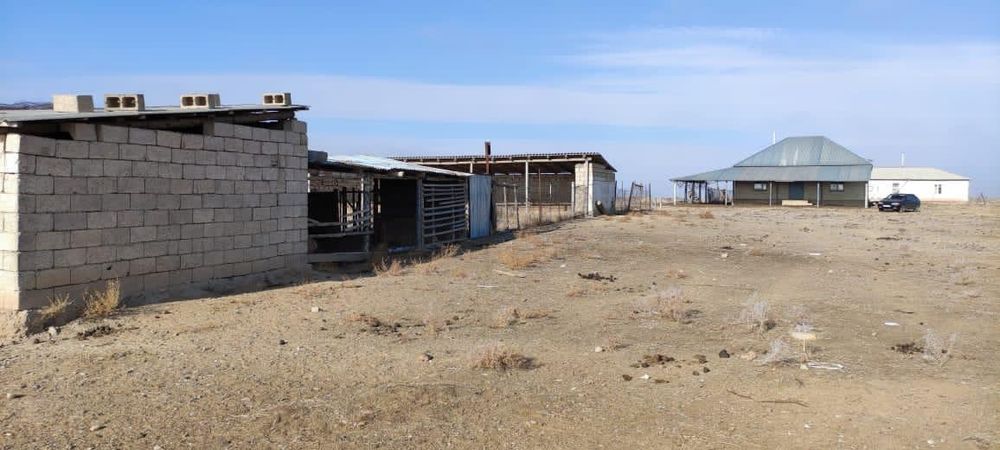 Қора сатылады фазенда