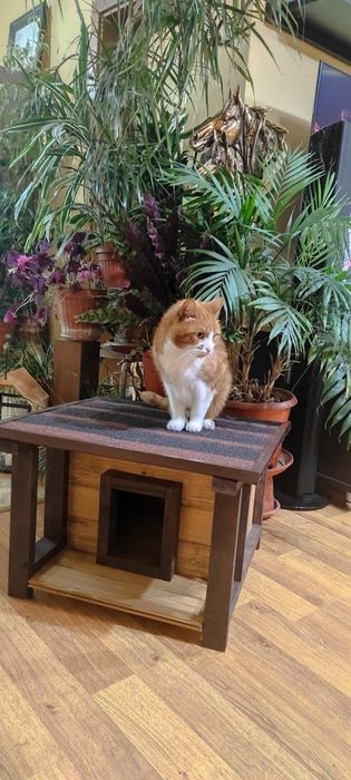 Къщички за домашни любимци