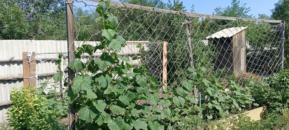 Продам дачу зимний вариант