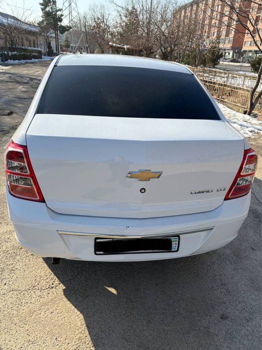 Cobalt 4 paz 2024 tozza