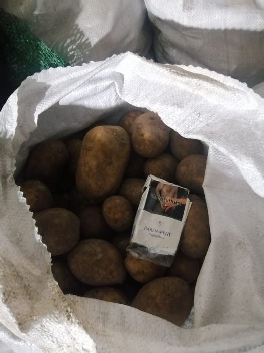 Продам картофель сорт гала