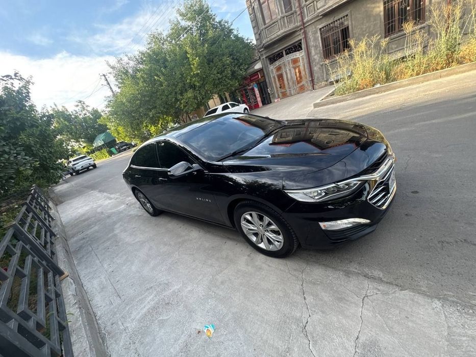 Malibu 2 premier