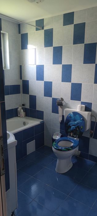 Vand casa zona Livezile