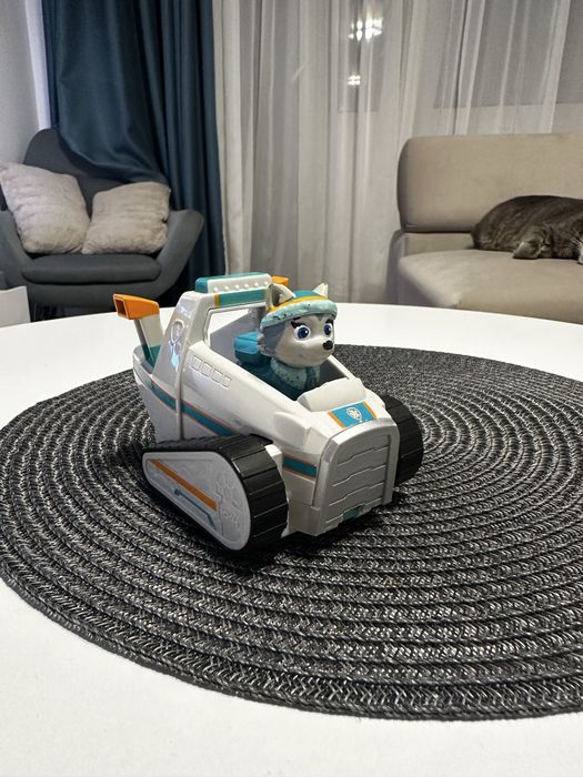 Patrula catelusilor cu masinute