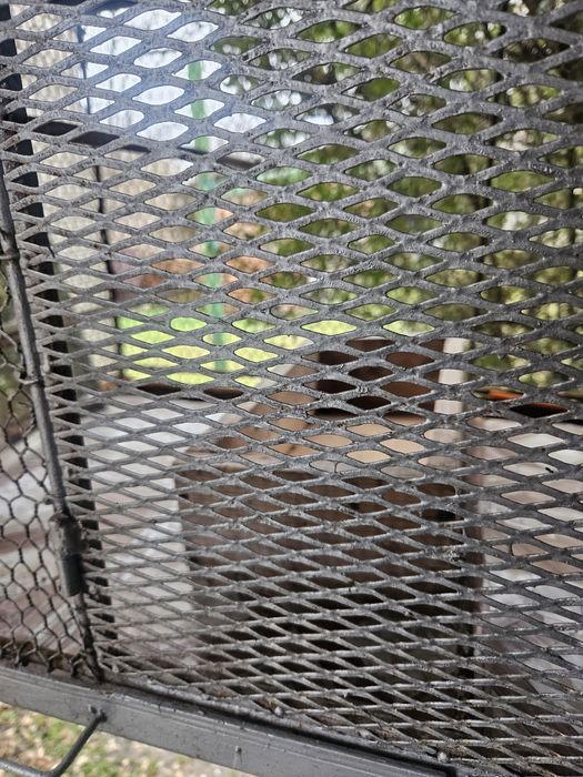 Масивна клетка за птици