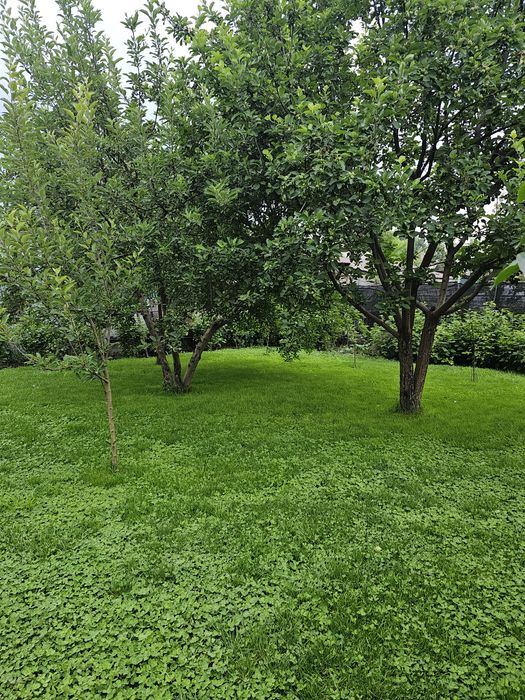 Продам капитальный, кирпичный дом в городе