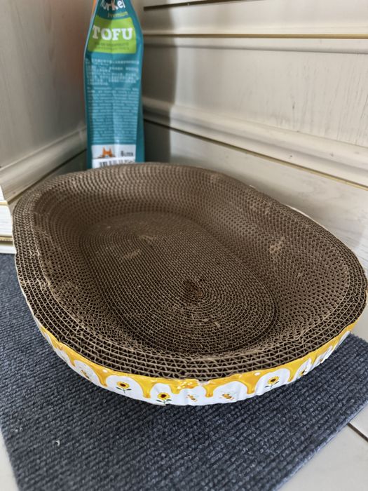 Продается красивый сиамский котенок