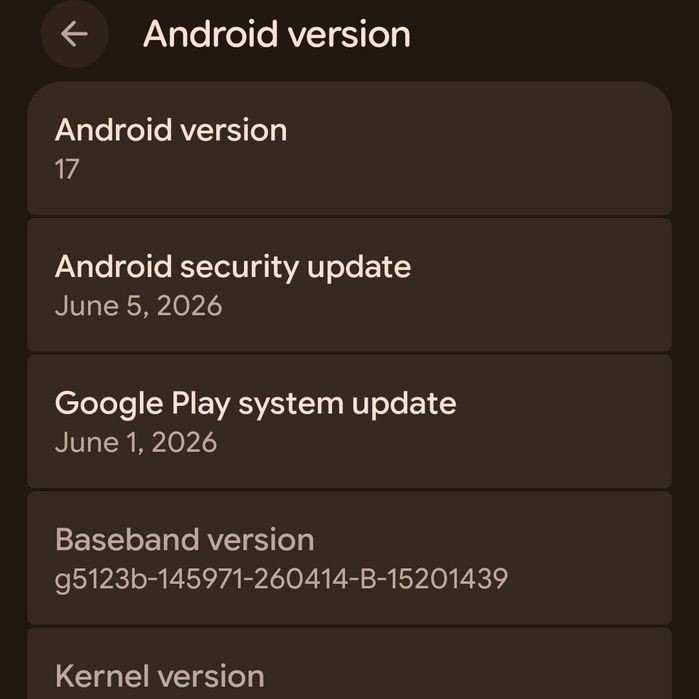 Google Pixel 6 Pro 256GB