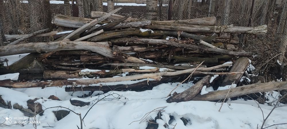 Дрова  отын агаш