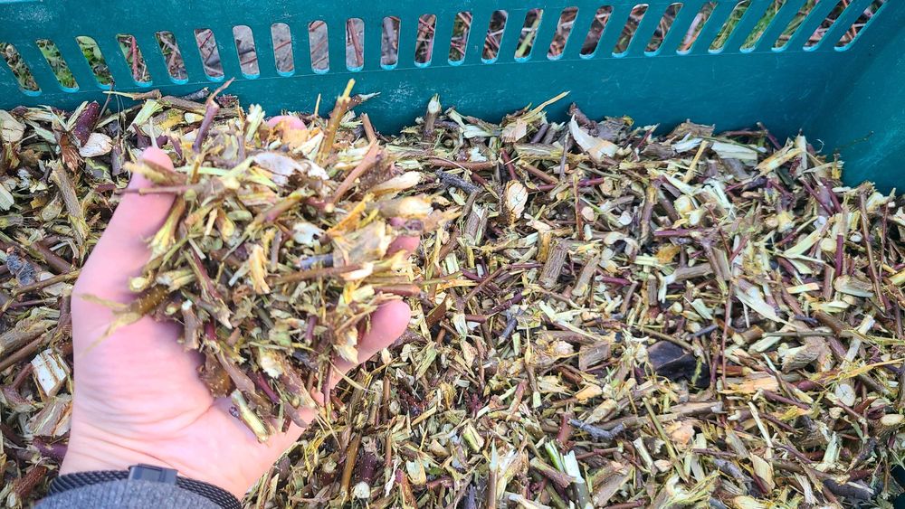 Пресен мулч за орхидеи, за застилане на дворове, за гъби, за барбекю