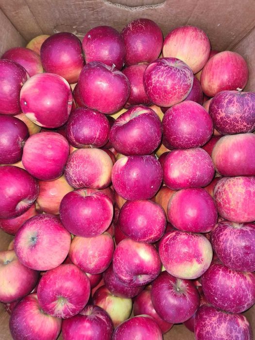 Mere proaspete de vânzare