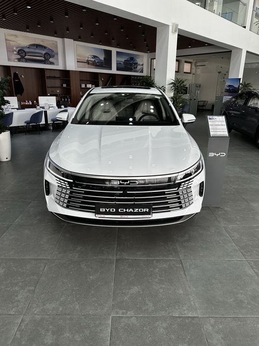BYD Chazor Champion 55km Luxe