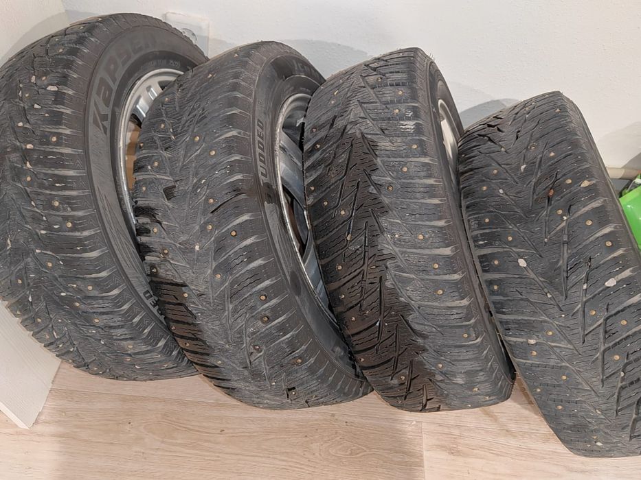 Торус қысқы дөңгелек сатылады шипы