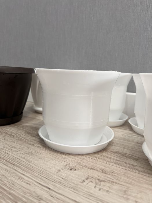 Комнатные цветы и горшки