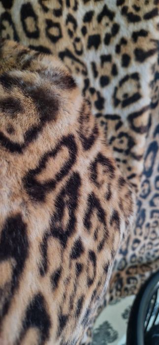 Шуба            .