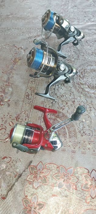 Mulineta kogha si simano