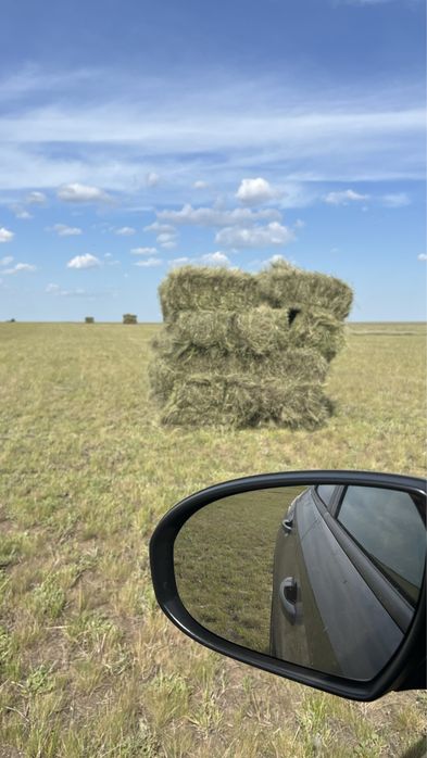 Продам сено в тюках