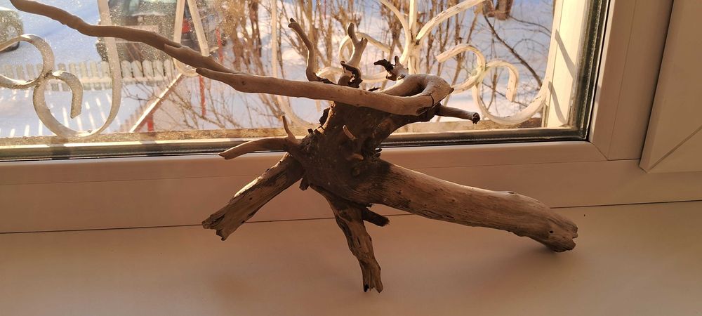 Коряга в аквариум