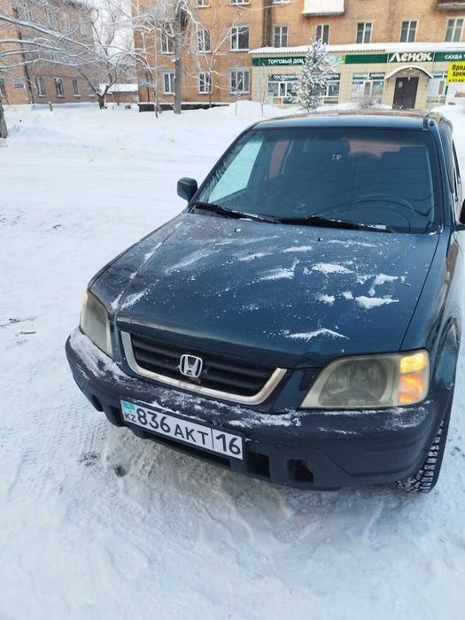 Продам верного коня