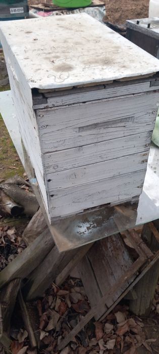 Vand roinite pt. Albine