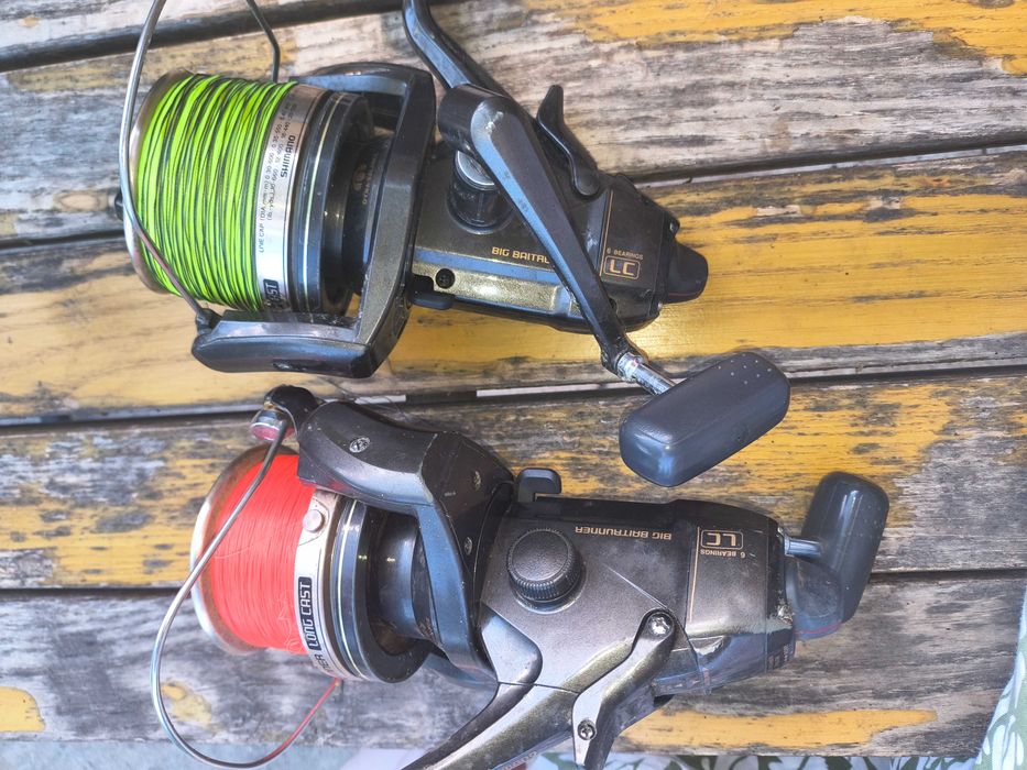 Mulineta Shimano