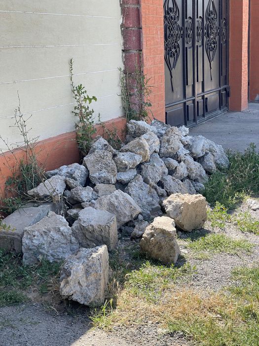 Тас бар , бесплатно