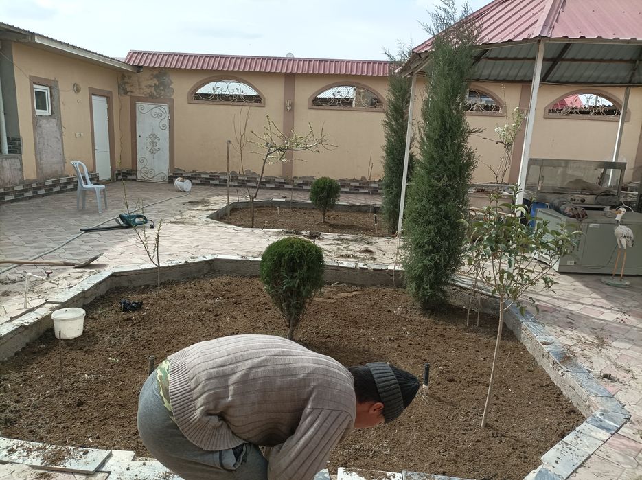 Арча газон гуллар экиш хизмати