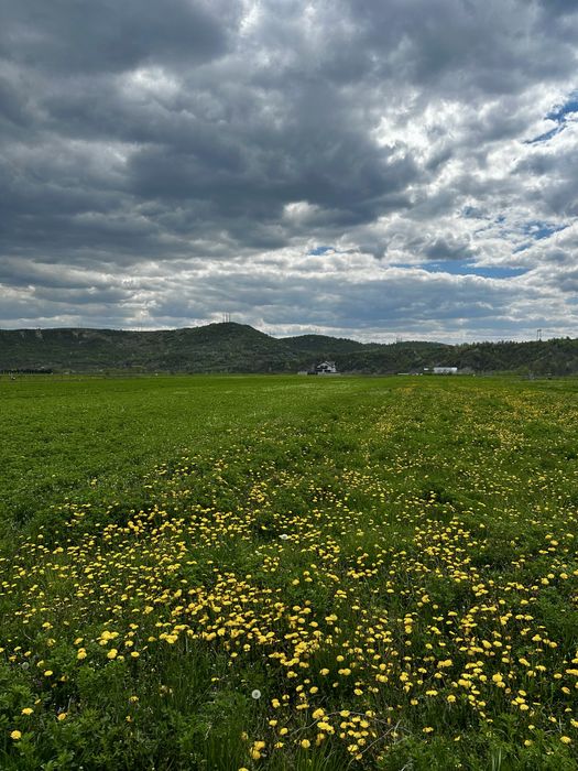 Teren Oituz 6000mp DN11