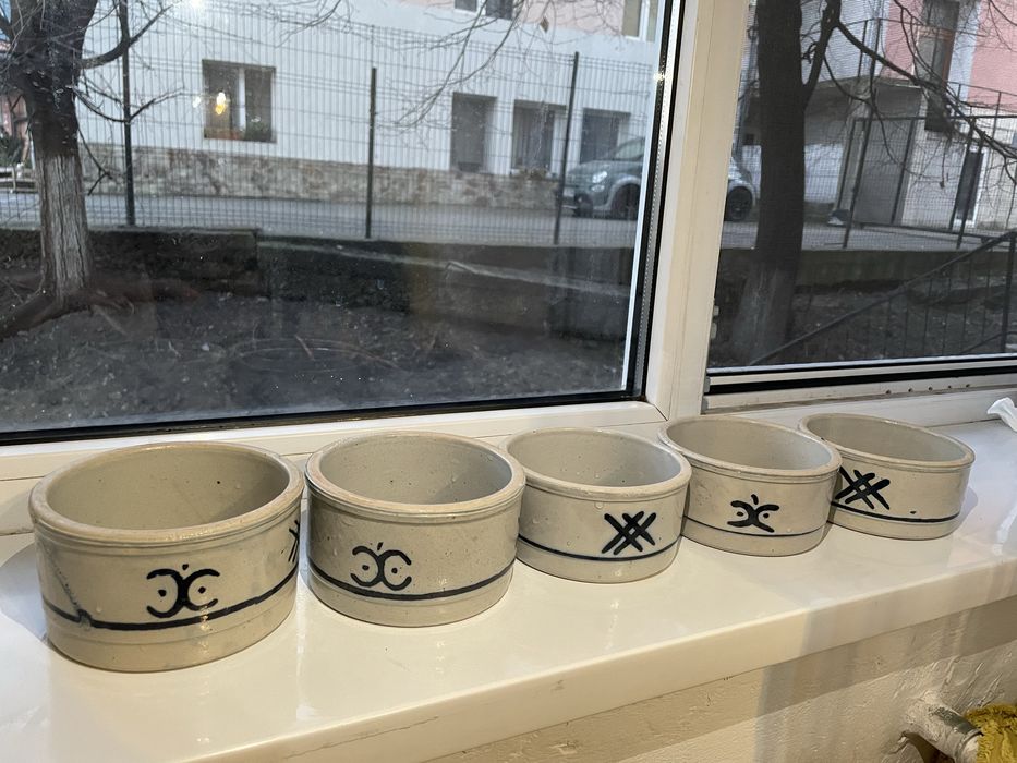 Set de Boluri din ceramica