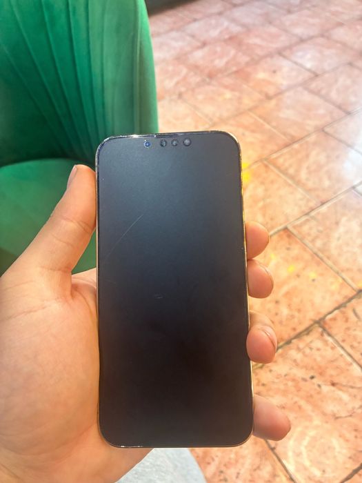 iPhone  13 pro