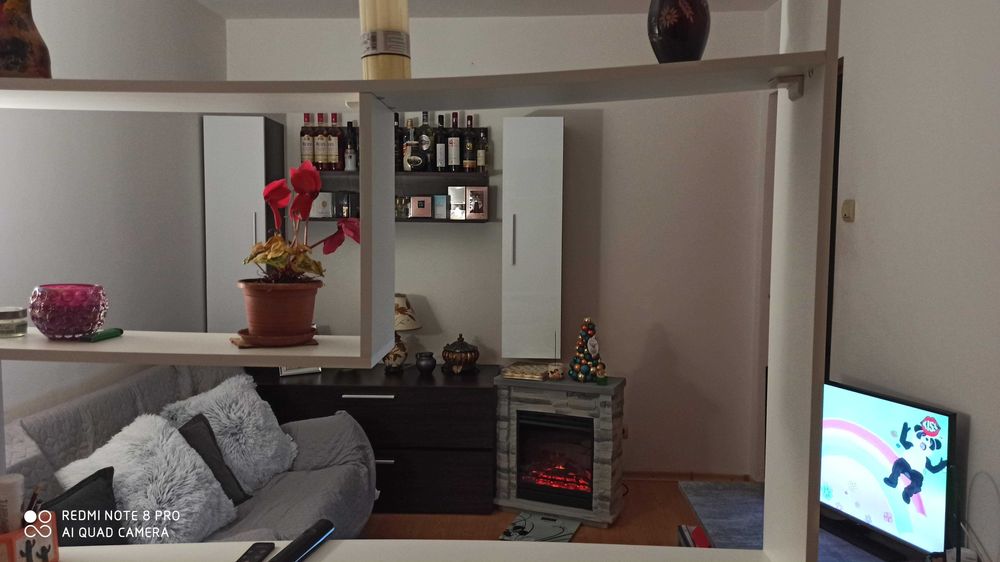 garsoniera conf 1 Ostroveni