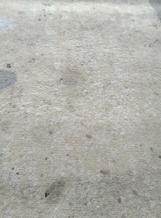 Огромен бежов килим, 300х200