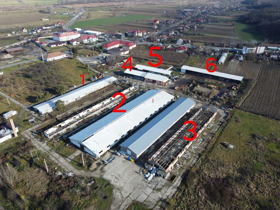 Hale de inchiriat partial sau integral, suprafete variabile