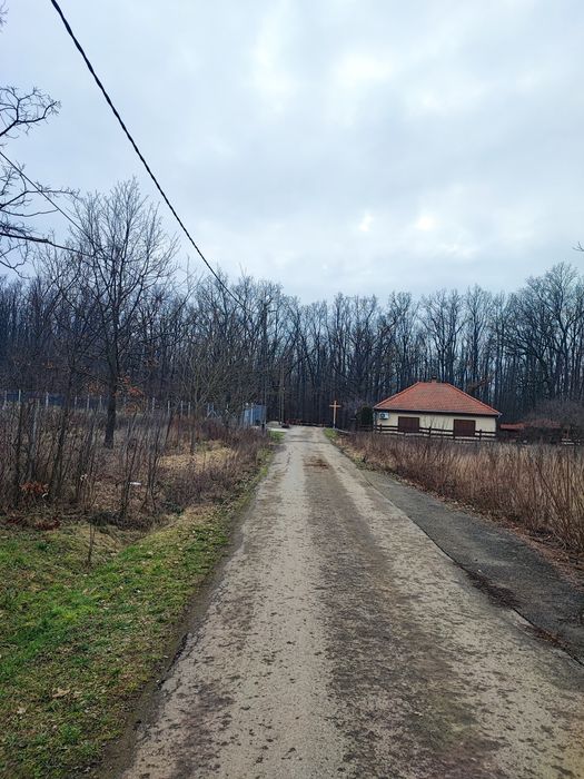 37 arii intravilan Viile Satu Mare