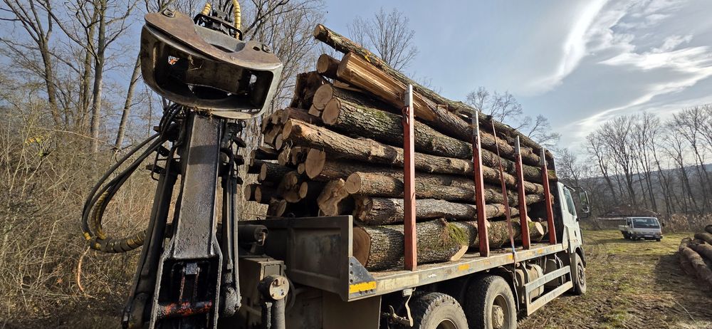 Lemn de foc esență tare