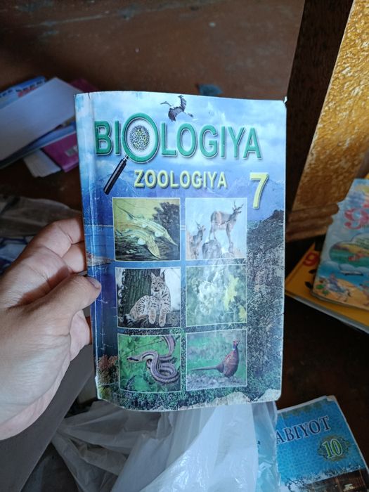 10 mingdan qo'llanmalar va kitoblar
