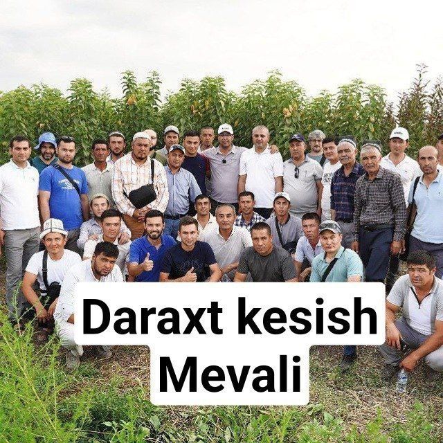 Daraxt kesamiz dorilash xizmati