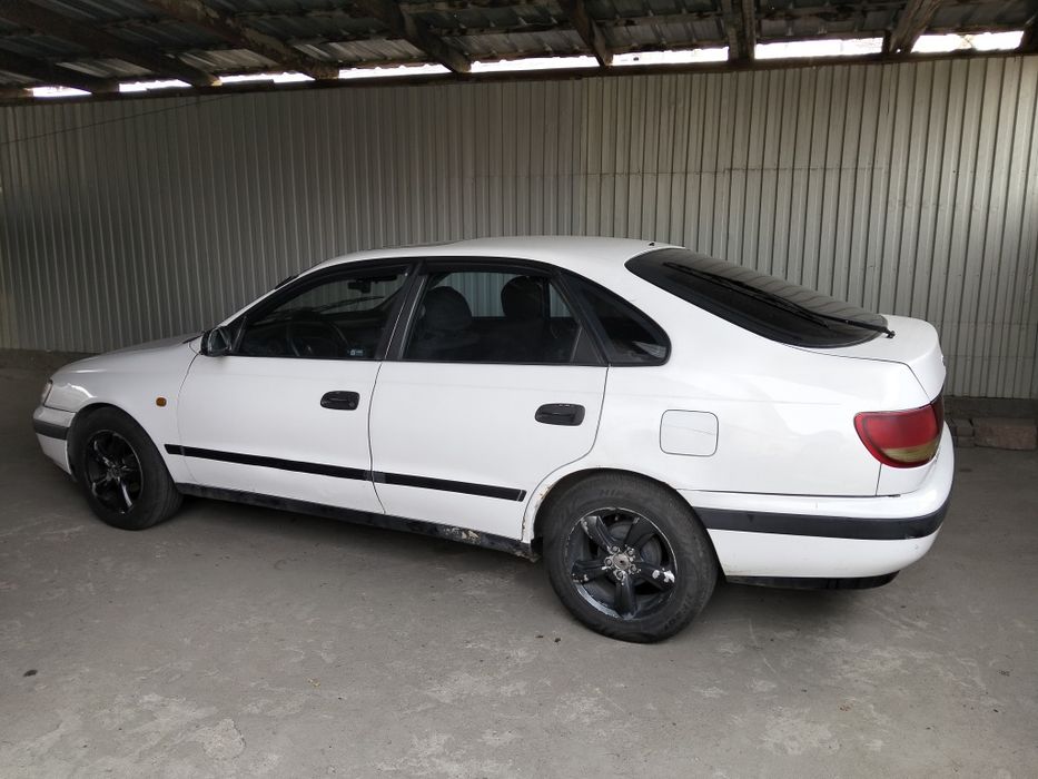 Карина Е 2 обьем